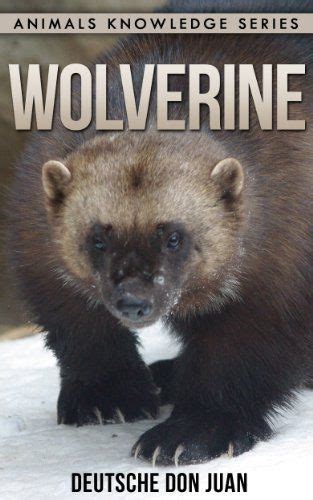wolverine beautiful pictures interesting knowledge Doc