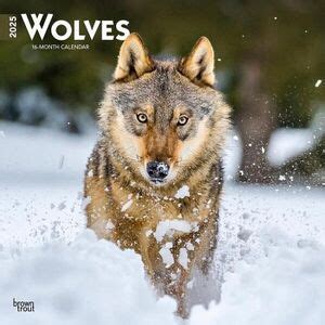 wolves 2015 square 12x12 Epub