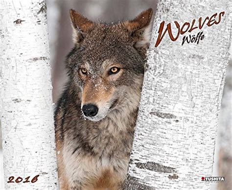 wolves 2016 kalender dcor calendars PDF