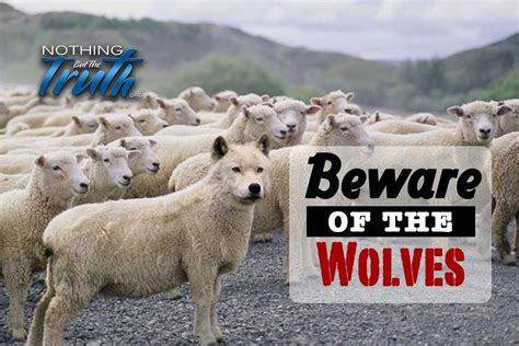 wolves in sheep's clothing nothing