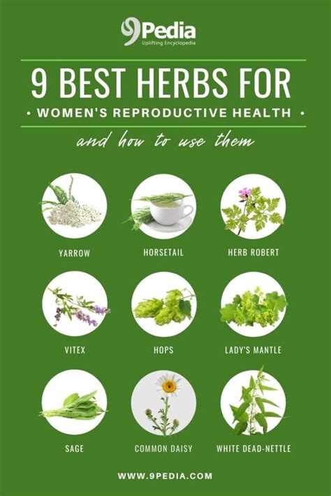 womens herbs womens health Epub