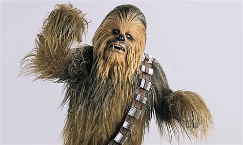 wookiee from star wars