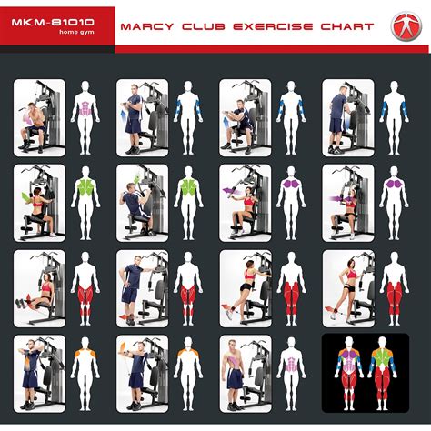 workout routine for marcy home gym Ebook Reader