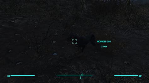 wounded dog fallout 4