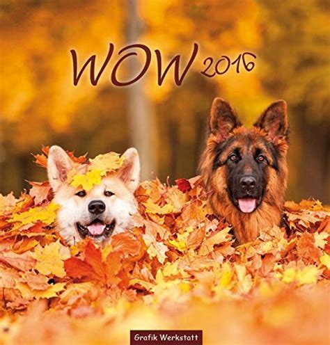 wow 2016 hundefreuden seiten postkartenkalender PDF