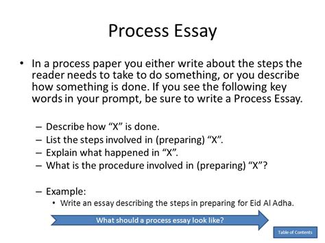 writing process essay examples PDF