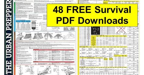 www freesurvivalblueprintbook com pdf PDF