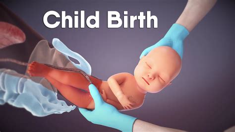 www labor and birth baby center ki video download com Kindle Editon
