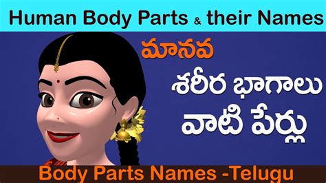 www male female body system telugu com PDF