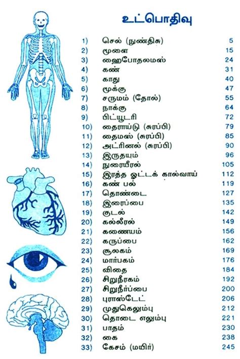 www male female body system telugu com PDF