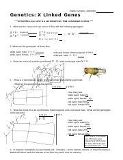 x linked genes fruit flies answer key Reader