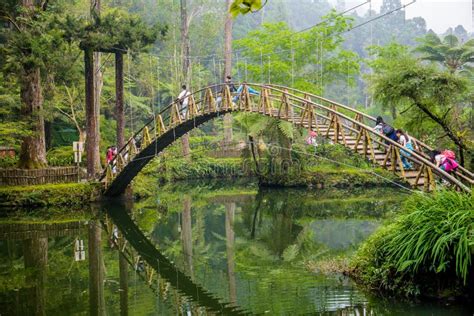 xitou nature education area