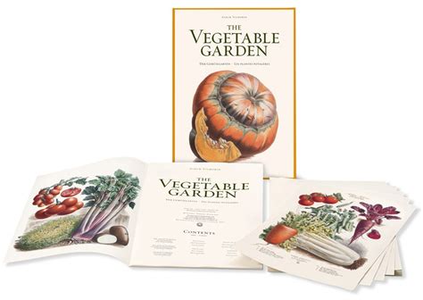 xl vilmorin vegetable garden italien portugais PDF