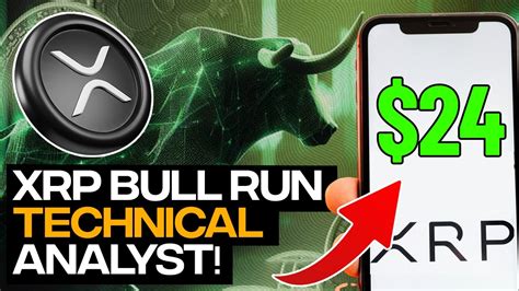 xrp bull run