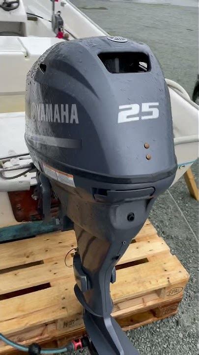 yamaha f25 tune up Epub
