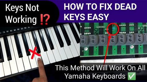yamaha keyboard keys not working Kindle Editon