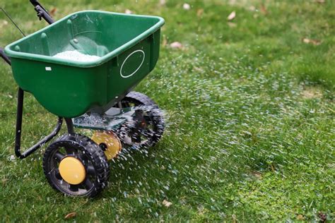 yard fertilizing companies