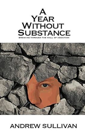 year without substance breaking addiction Epub