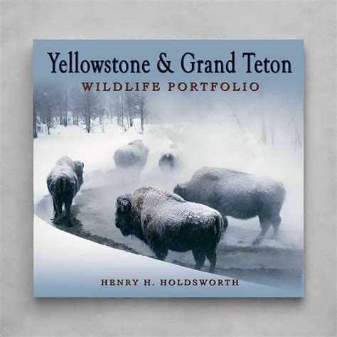 yellowstone and grand teton wildlife portfolio Kindle Editon