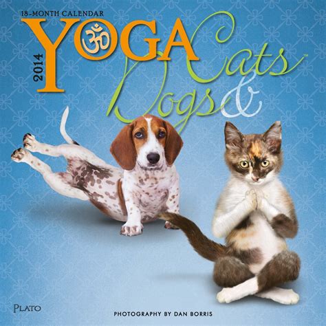 yoga dogs 2016 square 12x12 Doc