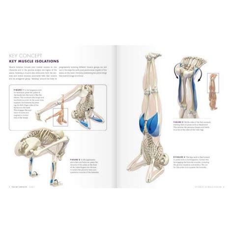 yoga mat companion 4 anatomy for arm balances and inversions Doc