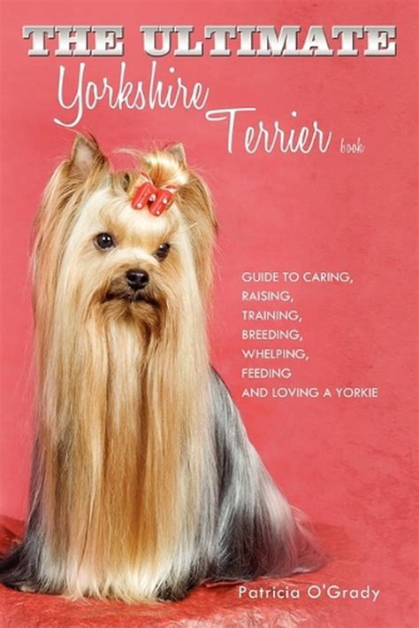yorkshire terrier training guide book Reader