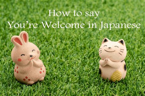 you re welcome in japan