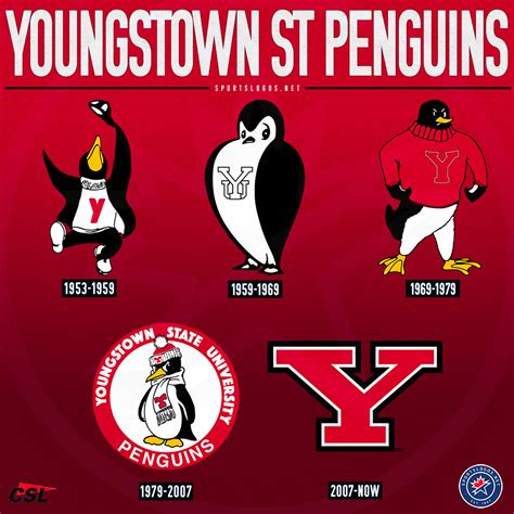 youngstown state logo