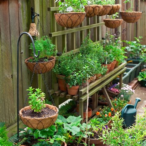 your container garden guide your container garden guide Doc