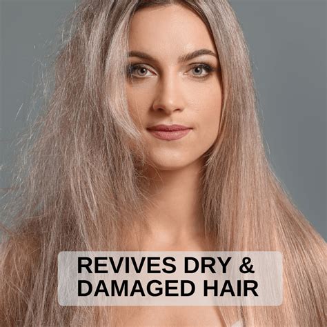 your dry hairs day are over the ultimate guide to nomoredryhair Reader