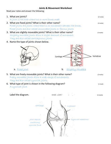 your joints answer key Kindle Editon