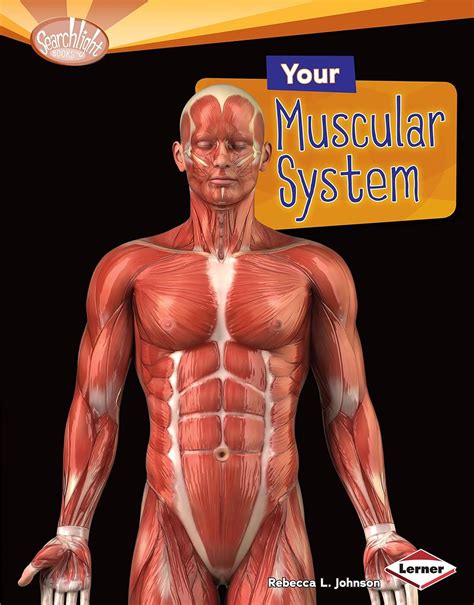 your muscular system searchlight books how does your body work? Doc