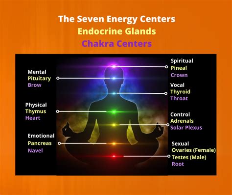 your seven energy centers your seven energy centers Epub