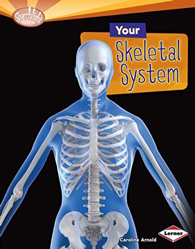 your skeletal system searchlight books how does your body work? Kindle Editon