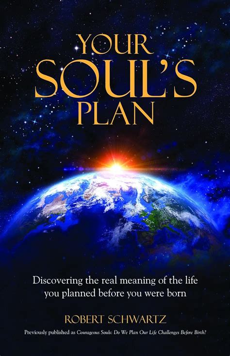 your souls plan discovering the real meaning of the life you planned before you were born Doc