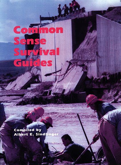 your year 2000 survival guide a common sense handbook Kindle Editon