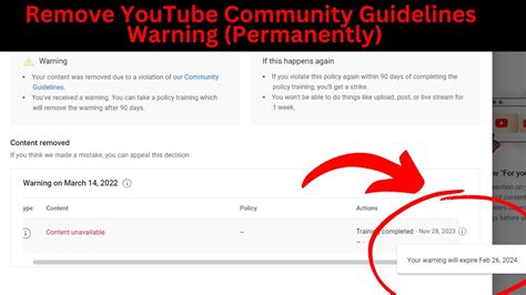 youtube community guidelines removedor PDF