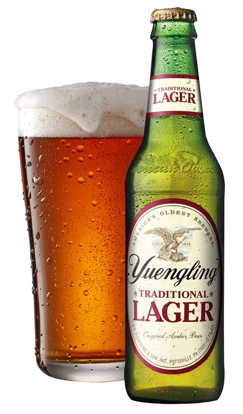 yuengling lager alcohol percentage