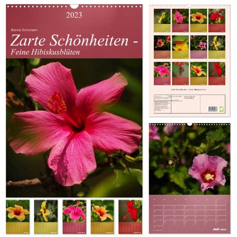 zarte sch nheiten hibiskusbl tenat version hibiskusbl ten monatskalender Doc