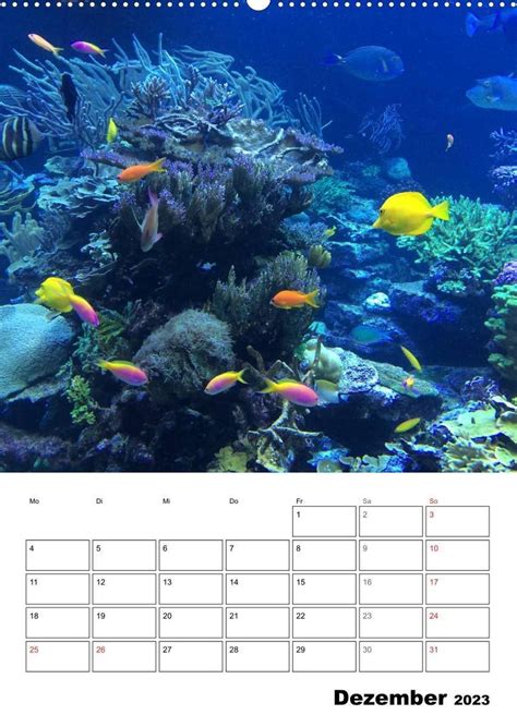 zauberwelt fische korallen wandkalender unterwasser planer Doc