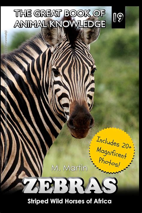 zebras striped horses africa knowledge Doc