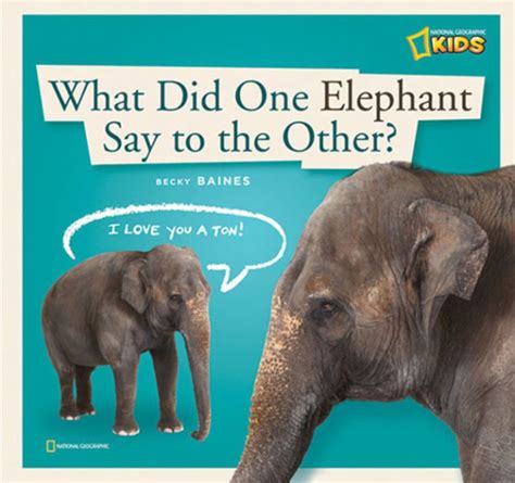 zigzag what did one elephant say to the other? Reader