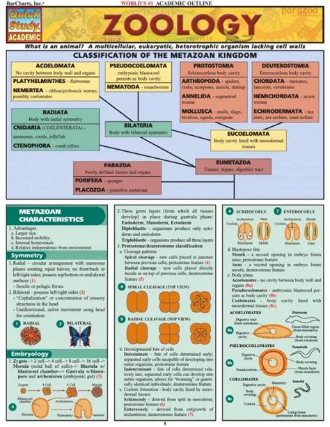 zoology quickstudy academic Doc